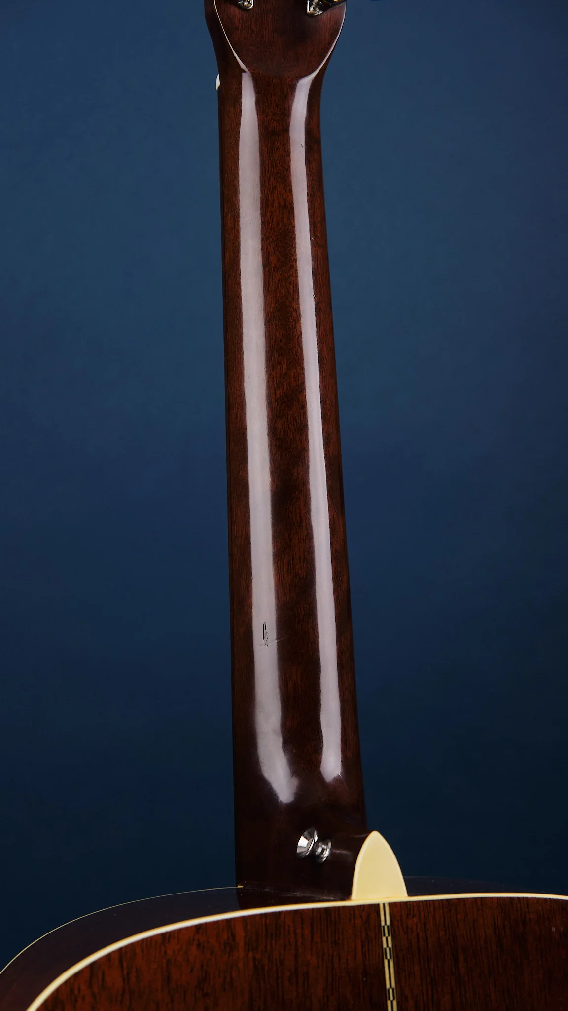 1970s Fender F-55-12 Natural - Image 8