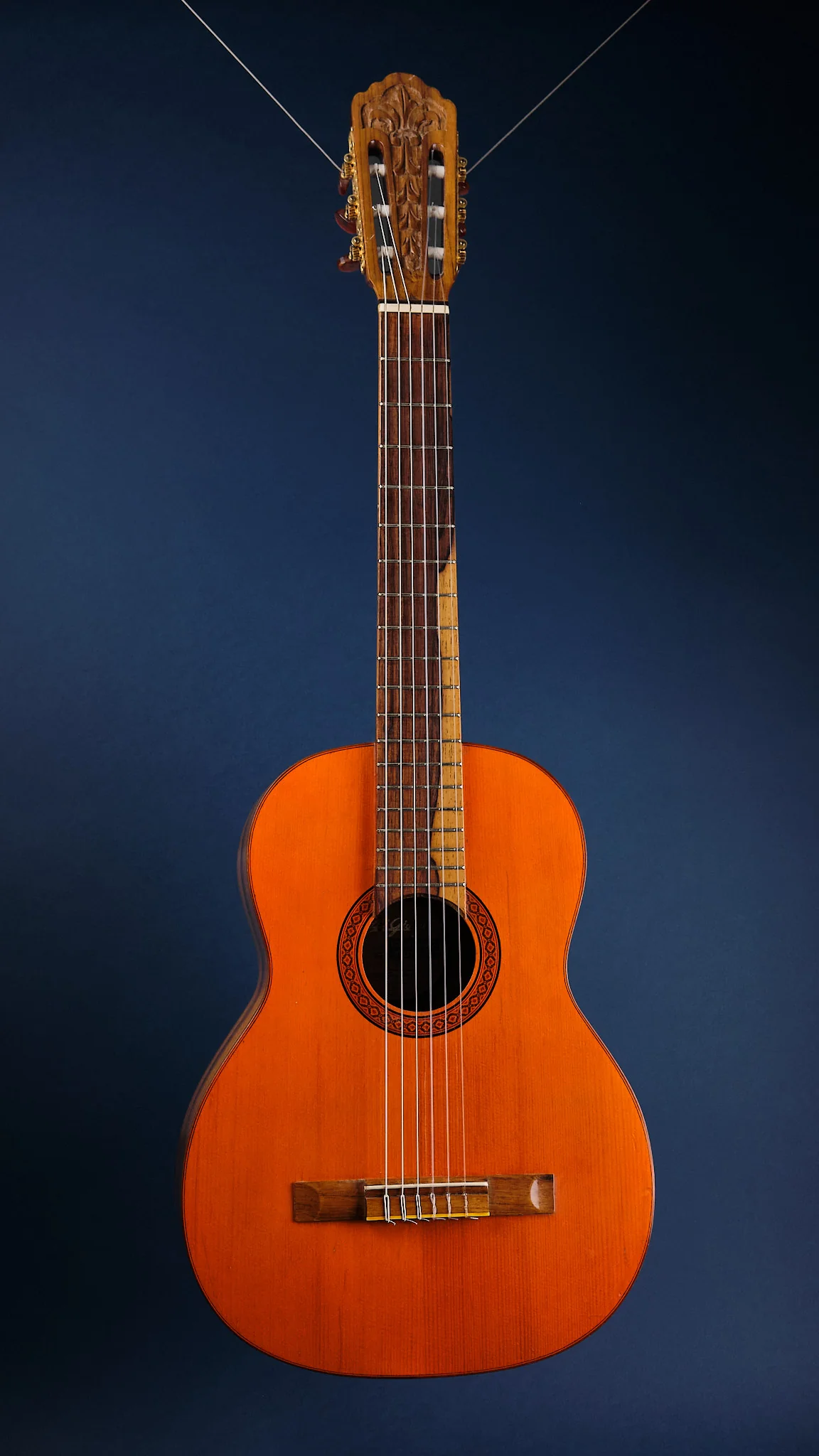 1975 Di Giorgio Signorina No. 16 - Image 4