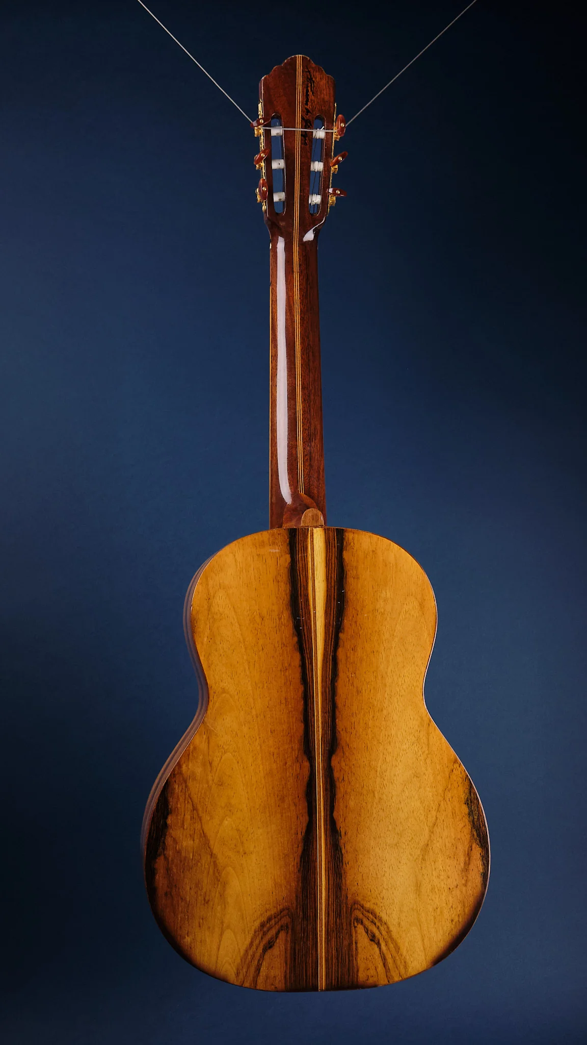1975 Di Giorgio Signorina No. 16 - Image 5