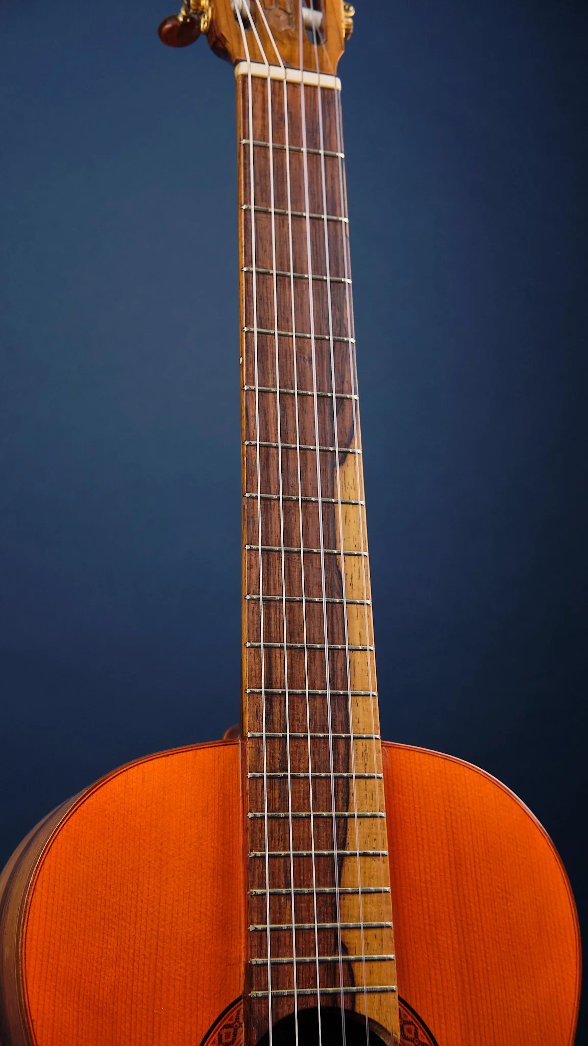1975 Di Giorgio Signorina No. 16 - Image 6