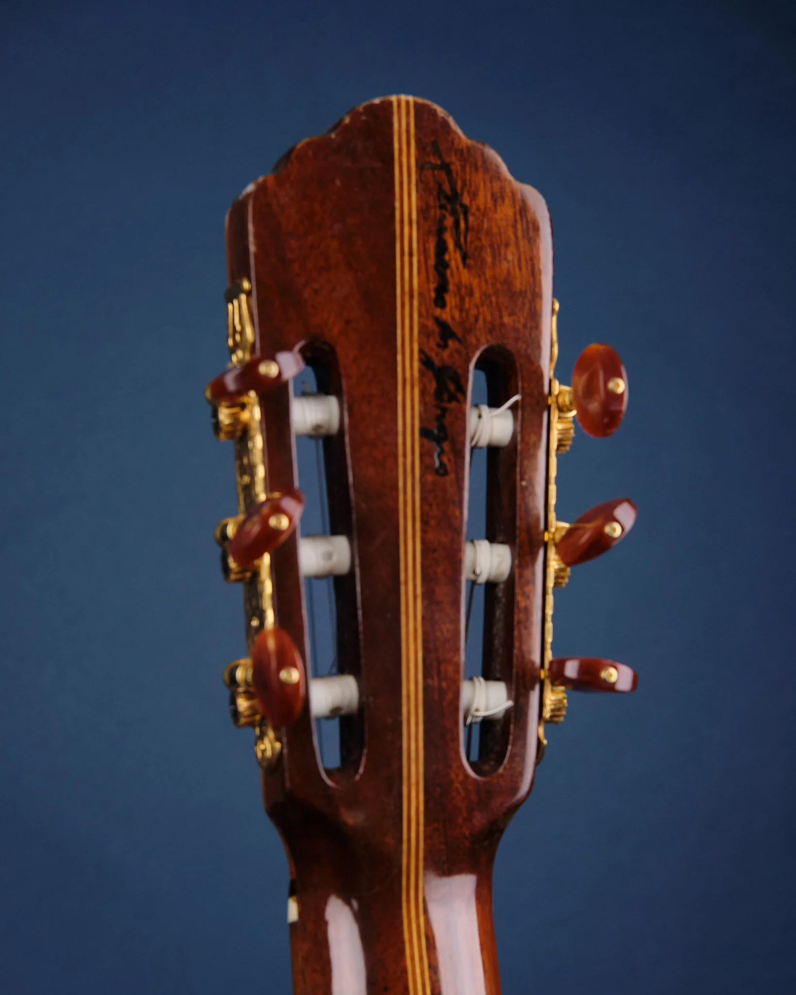 1975 Di Giorgio Signorina No. 16 - Image 7