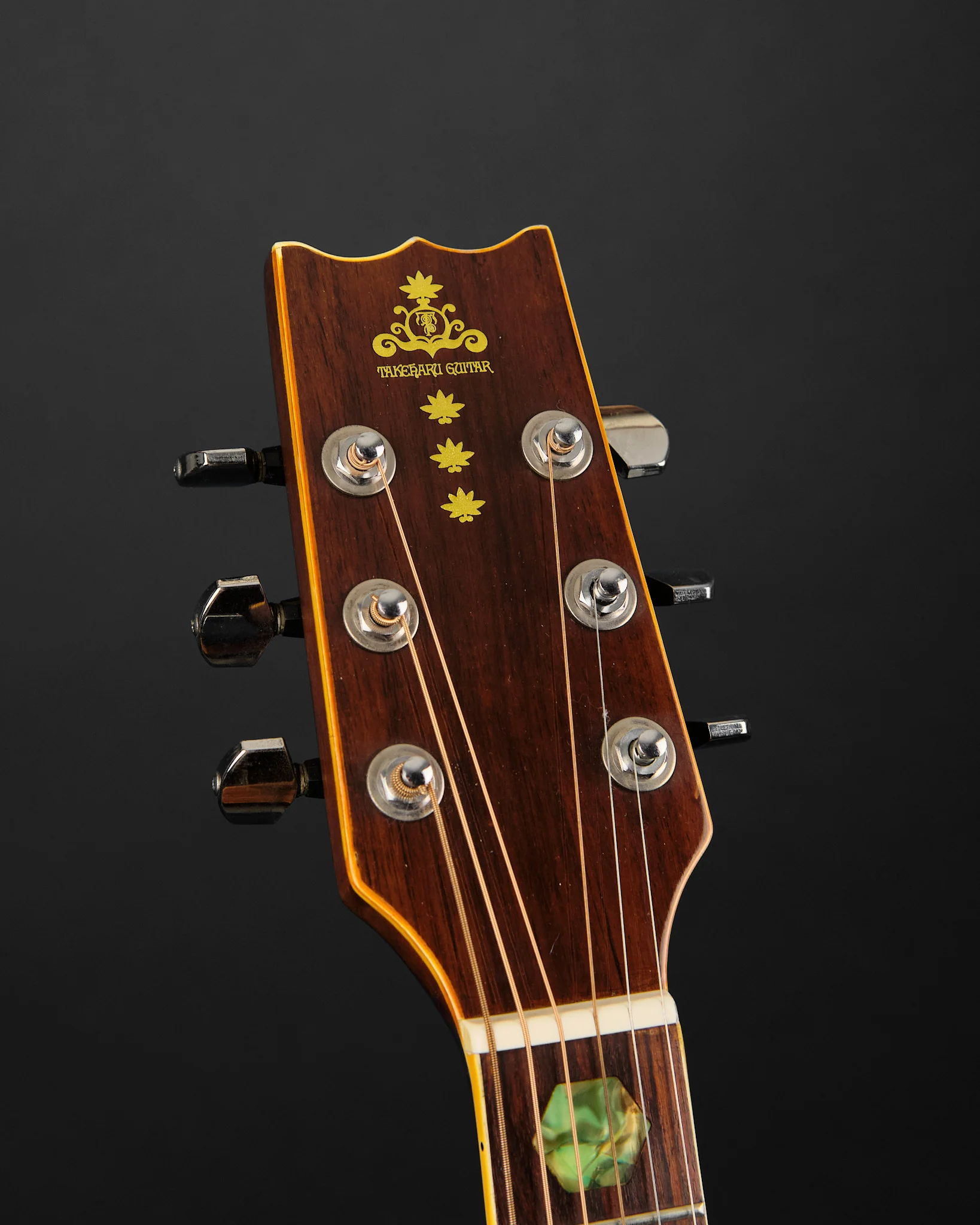 1977 Takeharu WT300 Dreadnought Natural - Image 2