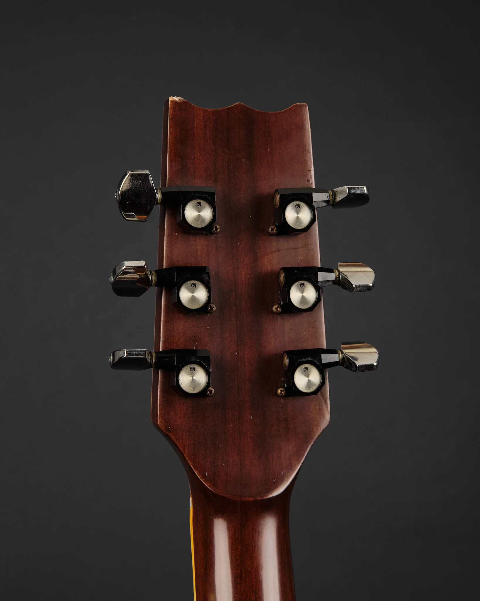 1977 Takeharu WT300 Dreadnought Natural - Image 7