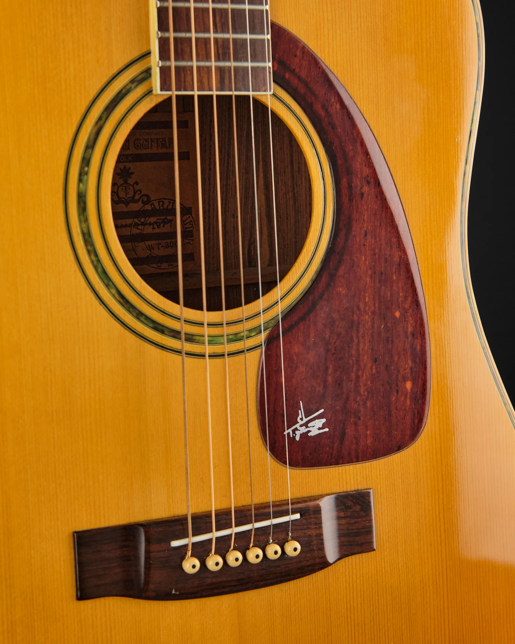 1977 Takeharu WT300 Dreadnought Natural - Image 9
