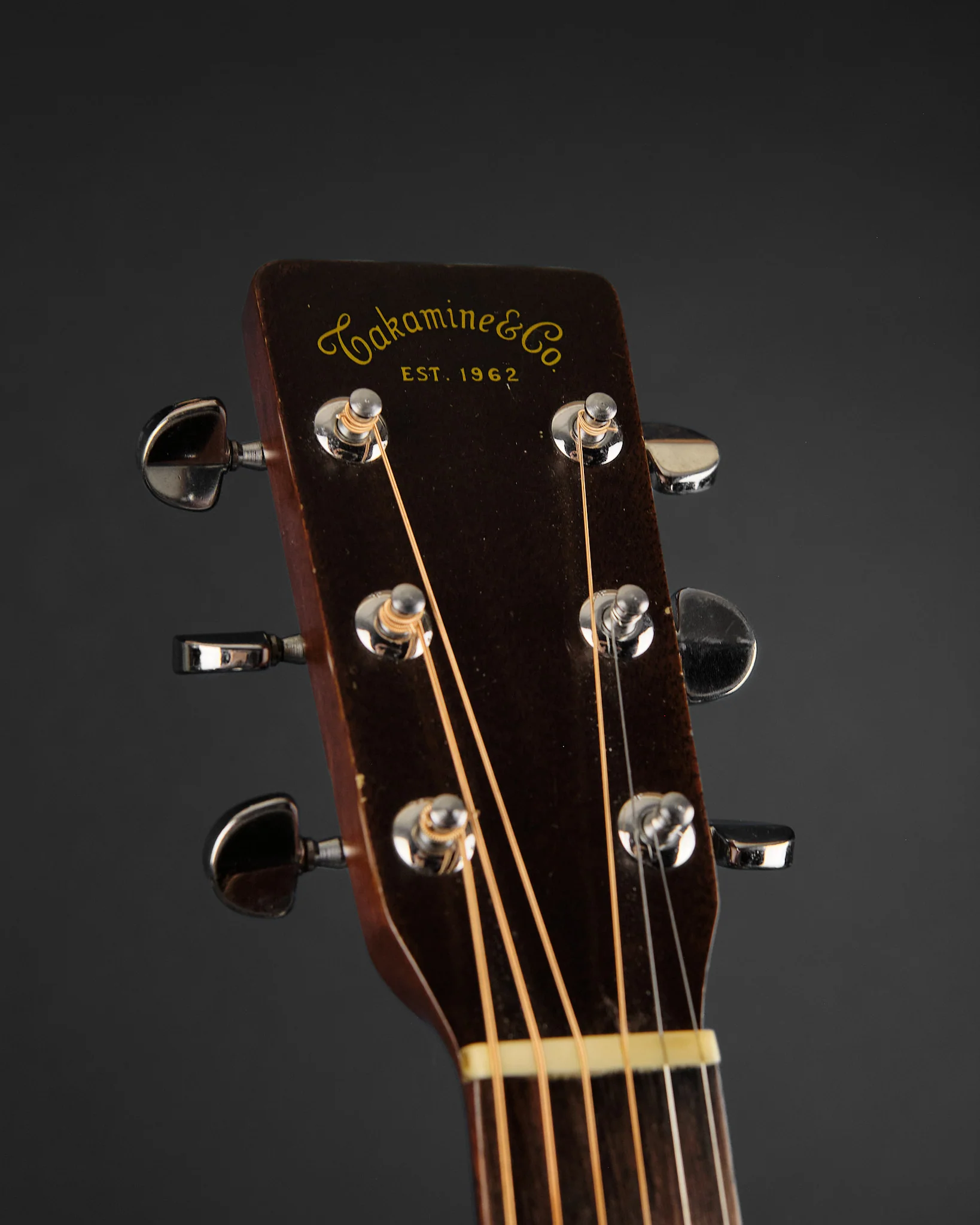 1980 Takamine EF340S Dreadnought - Image 2