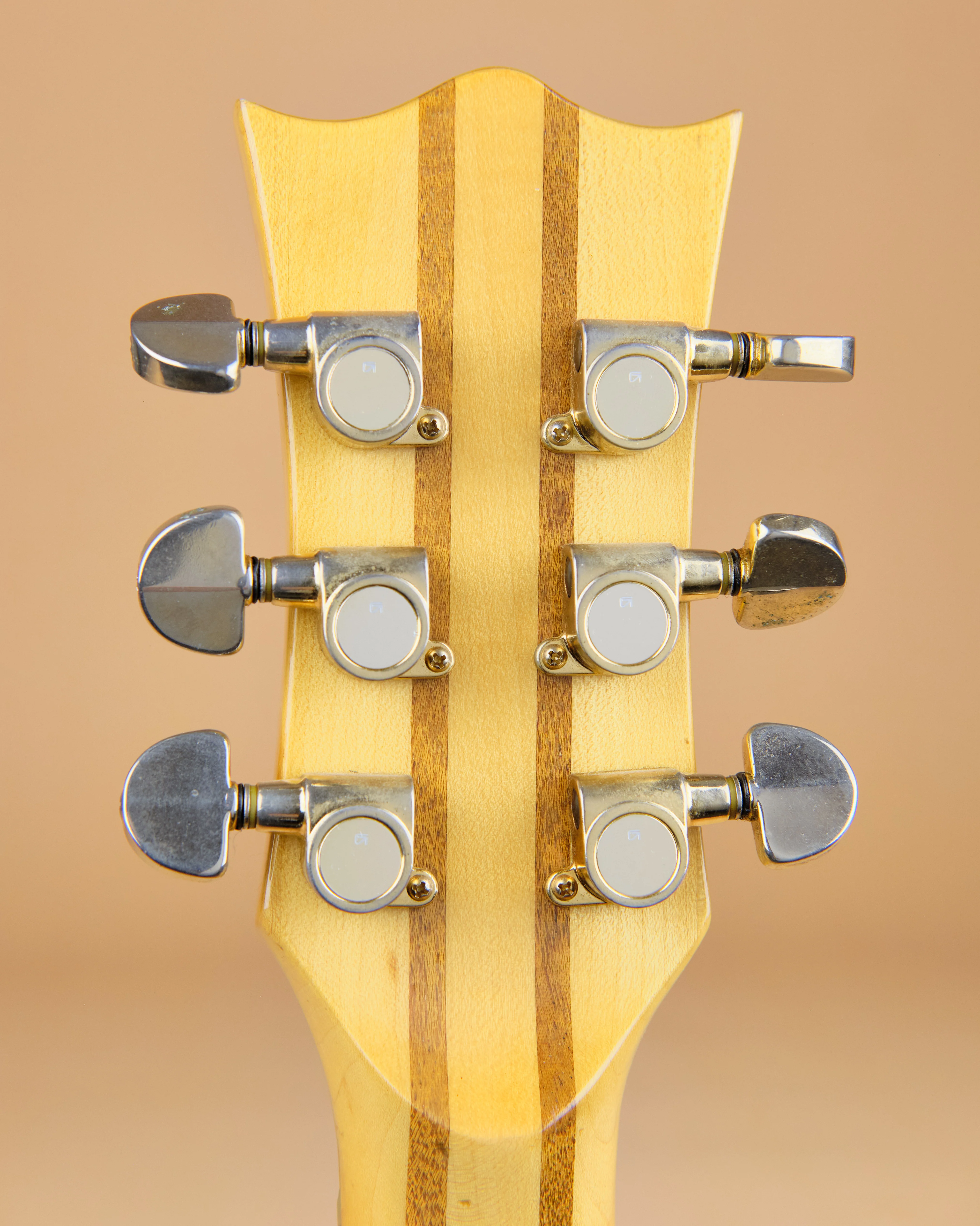 1981 Maton Tasman T3 Dark Stain - Image 5