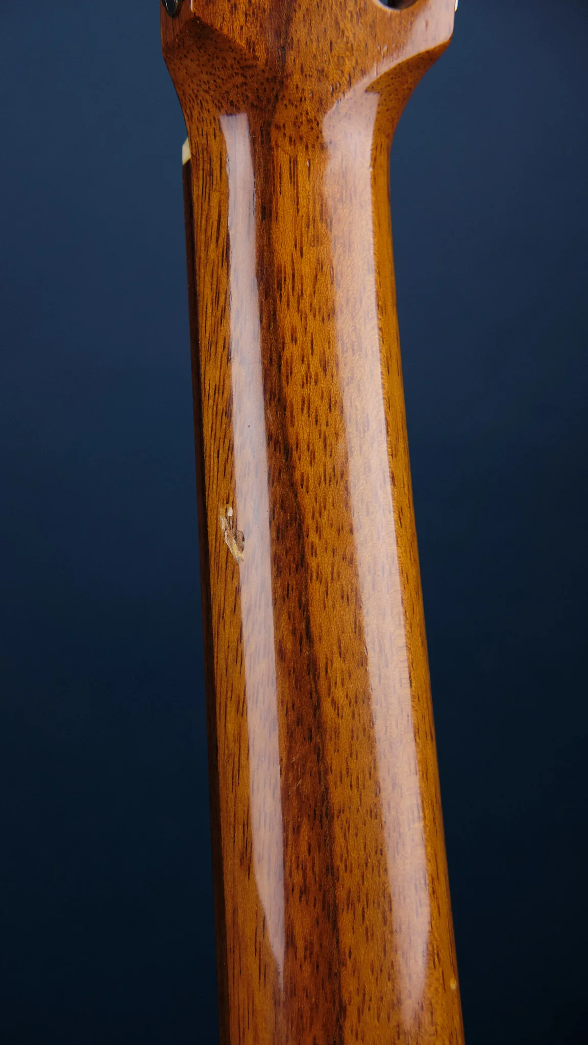 1981 Sada Luthier G10 Classical - Image 6