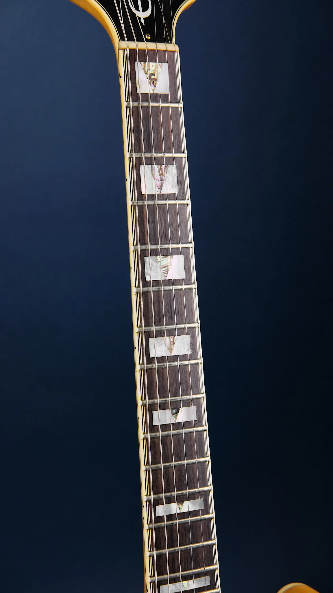 1984 Epiphone Sheraton Natural - Image 6