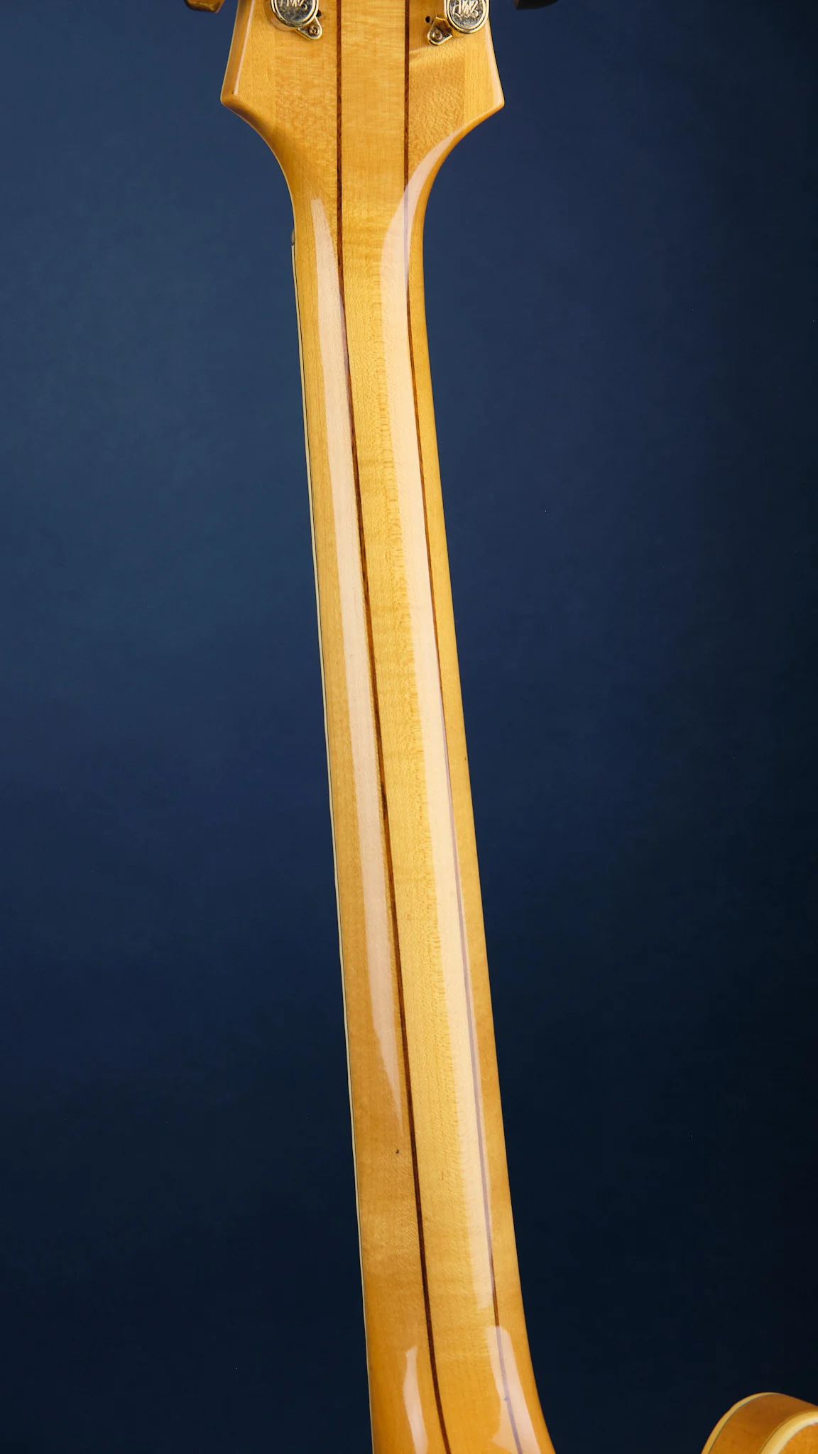 1984 Epiphone Sheraton Natural - Image 8