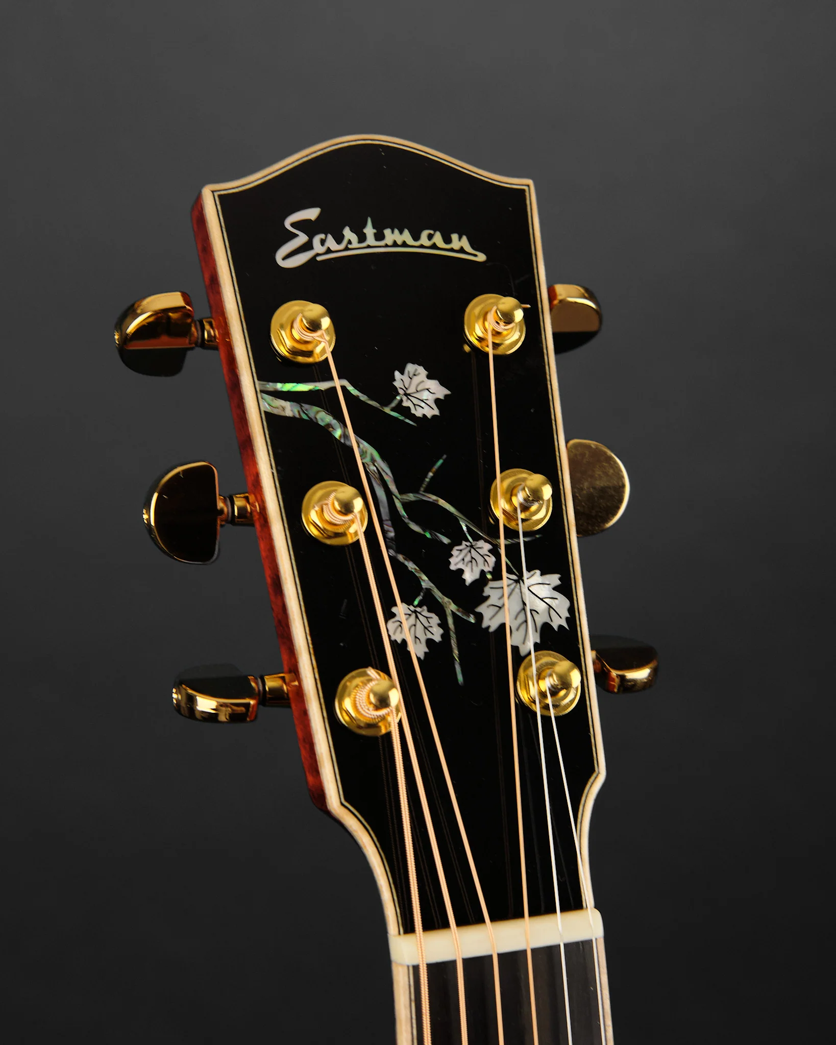 2022 Eastman AC622CE Spruce - Image 2