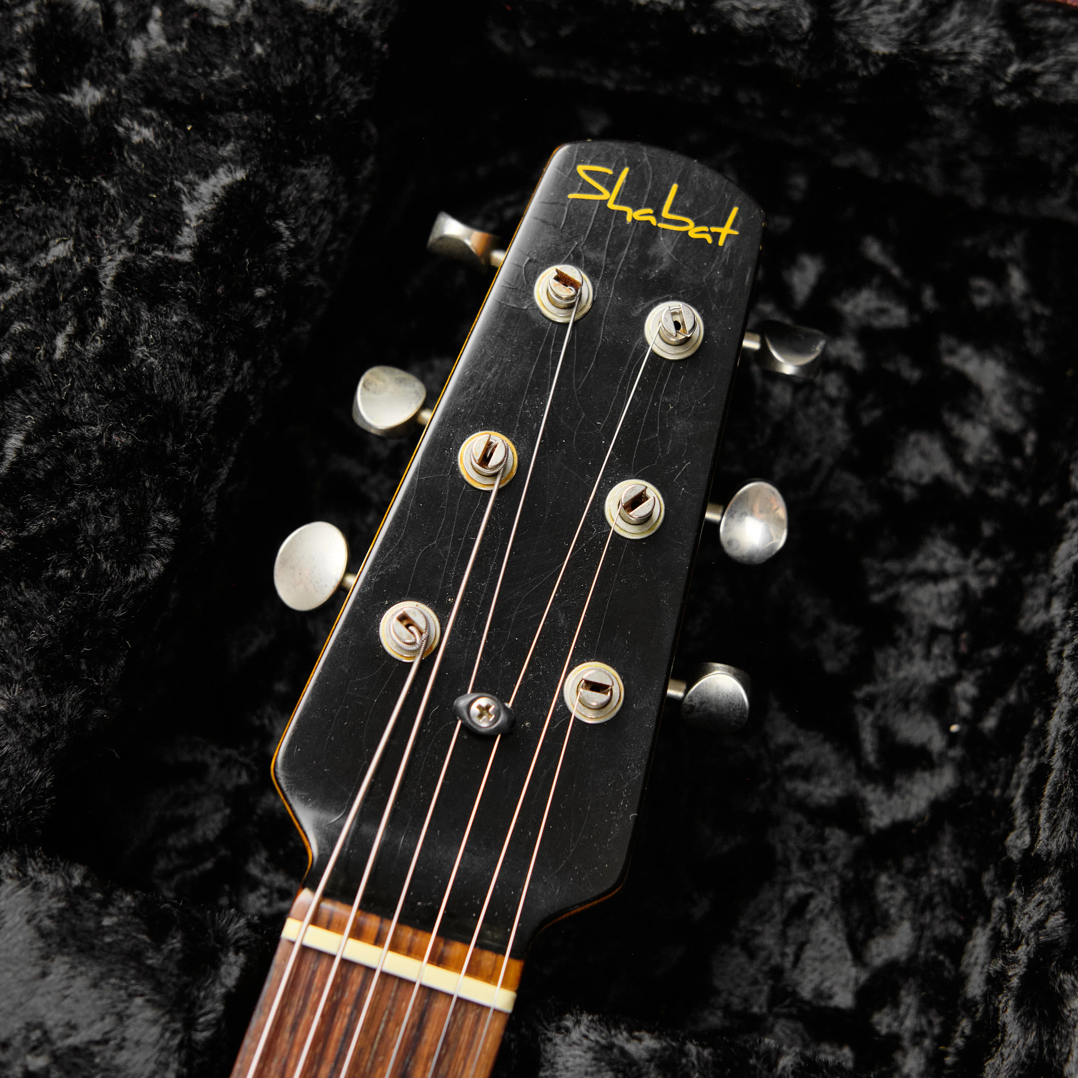2022 Shabat Lion Special Sunburst - Image 2