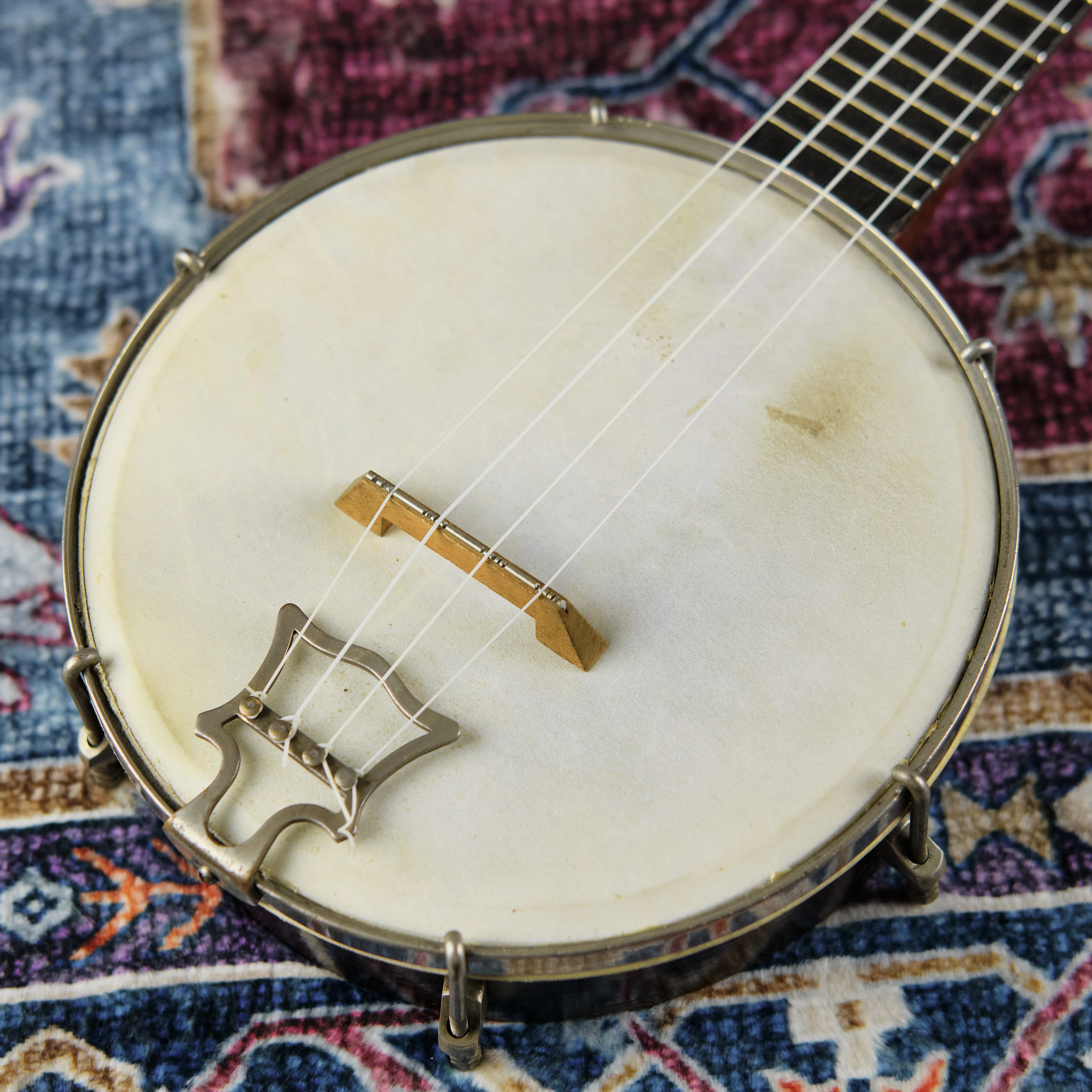 c1920s John Grey & Sons Banjolele - Image 4