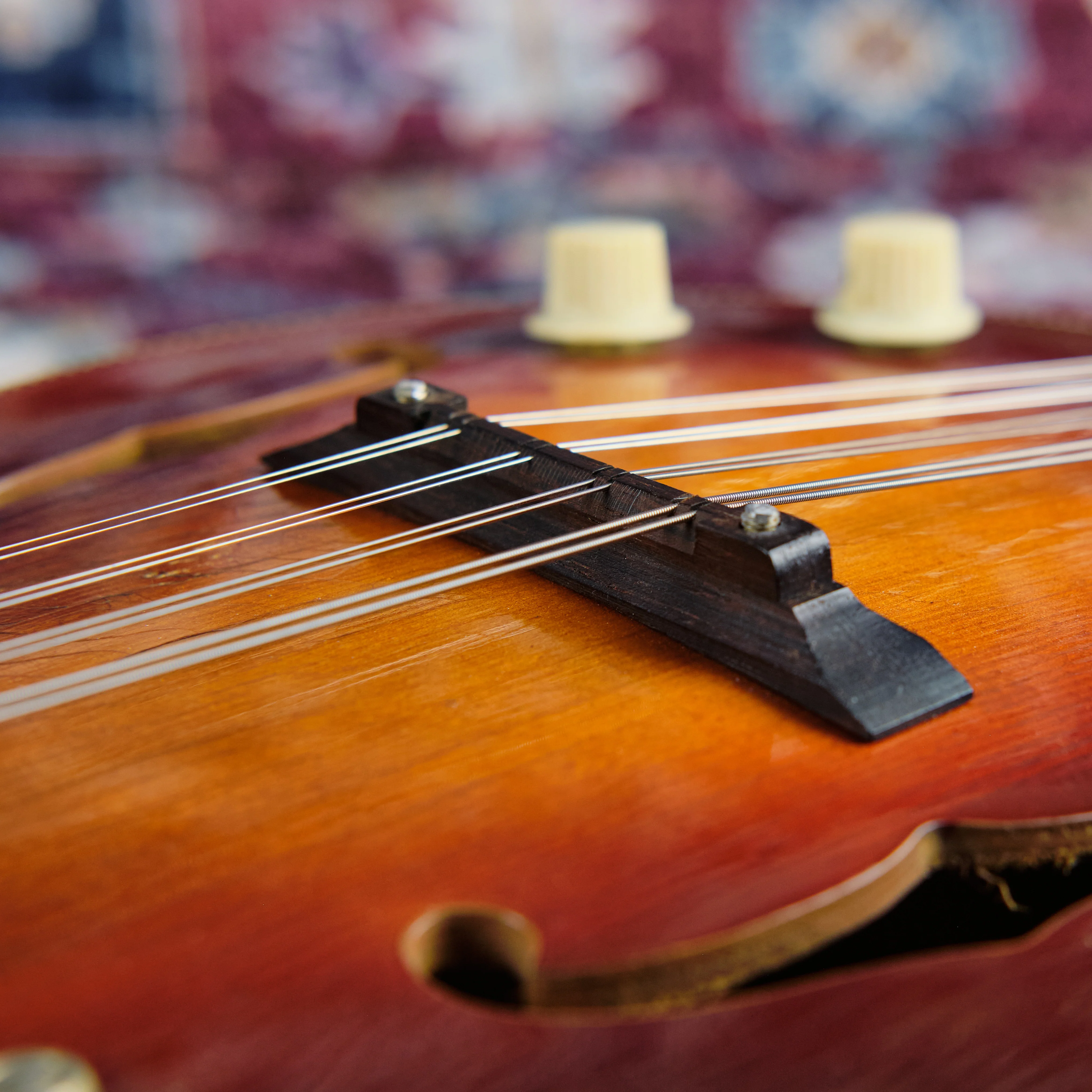 1960s Kay N-3 Electric Mandolin - Image 8