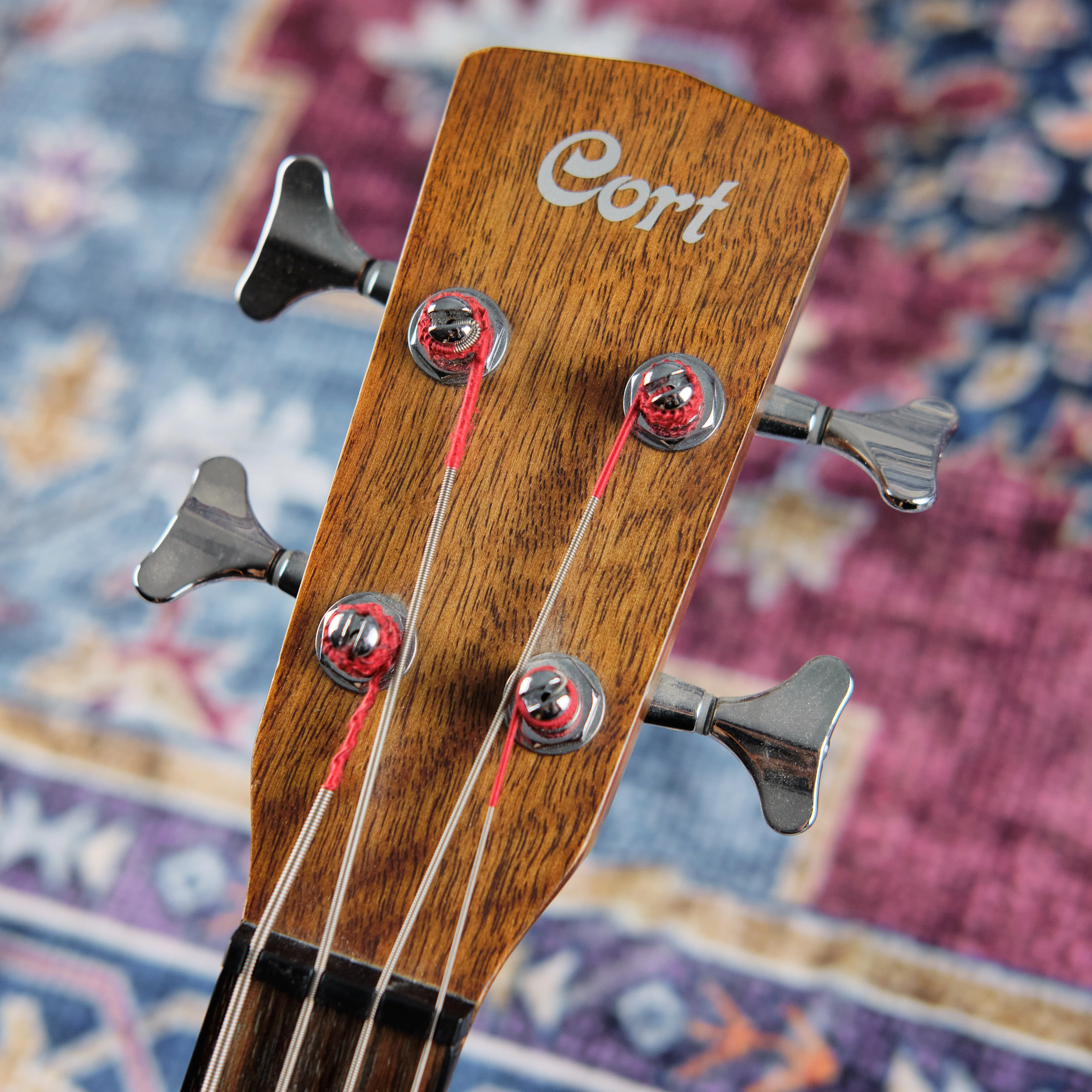 Cort SJB-3NS Acoustic Bass (Second-Hand) - Image 2