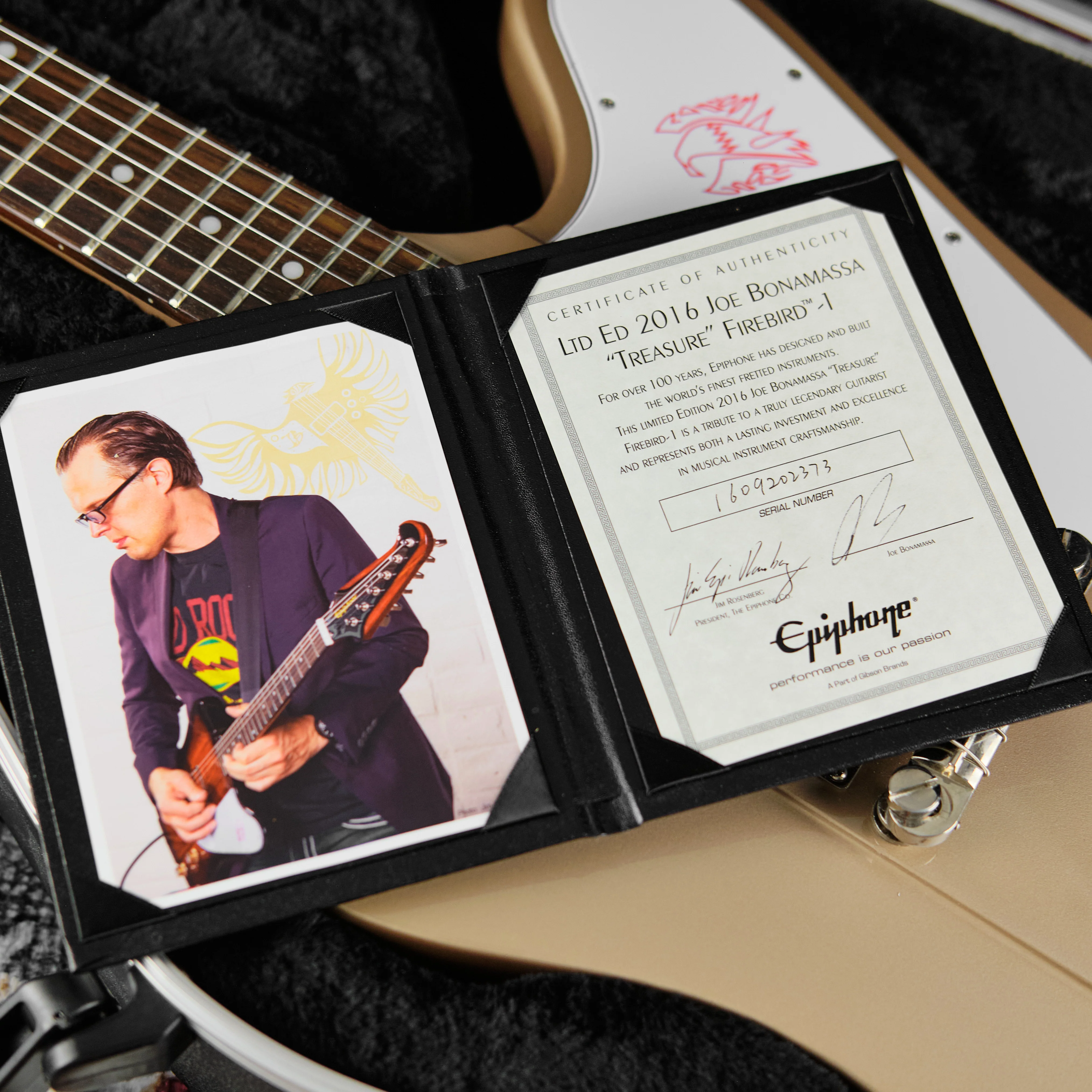 Epiphone Limited Edition Joe Bonamassa 'Treasure' Firebird 1 (Second-Hand) - Image 5