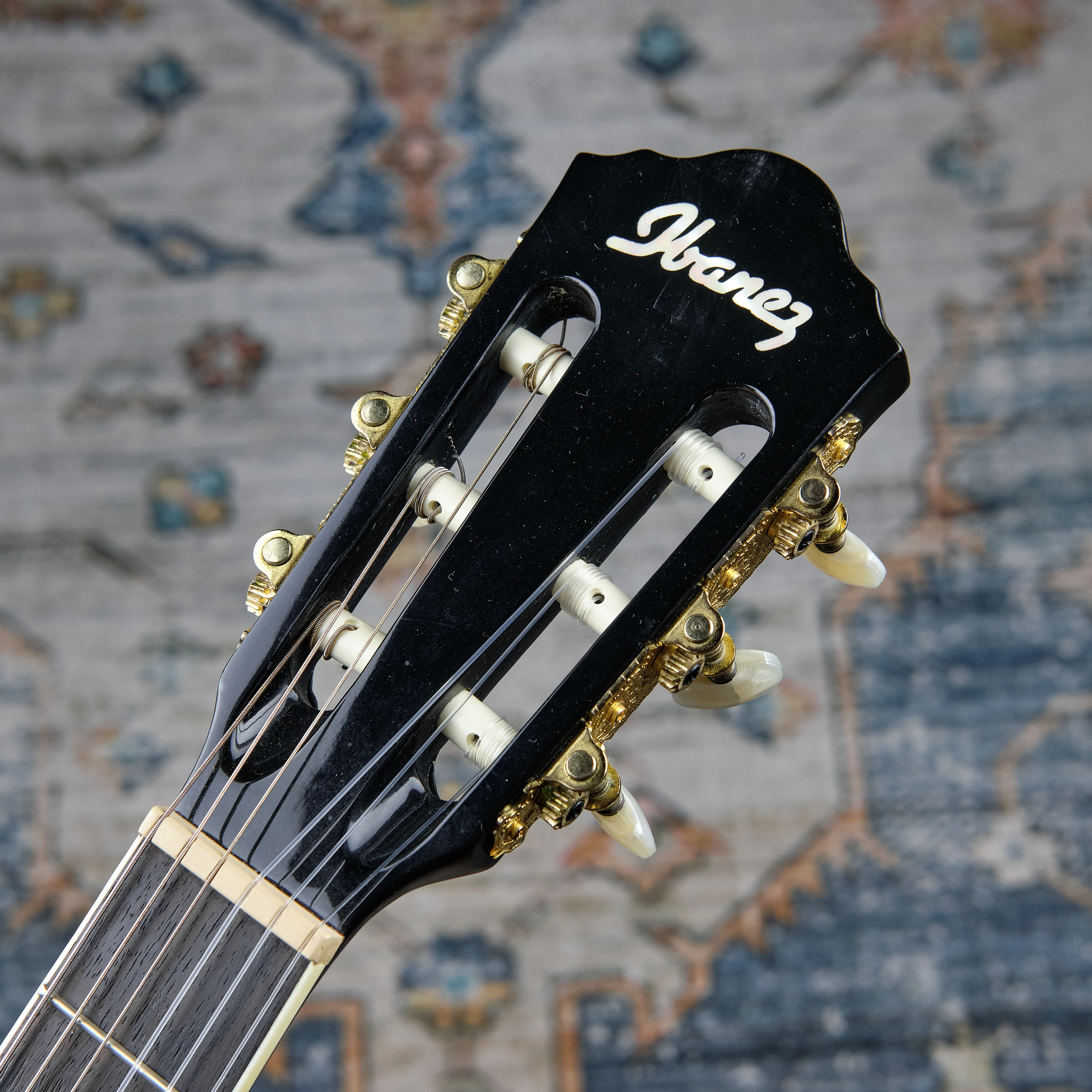Ibanez AEG10NII Cutaway Nylon String (Second-Hand) - Image 2