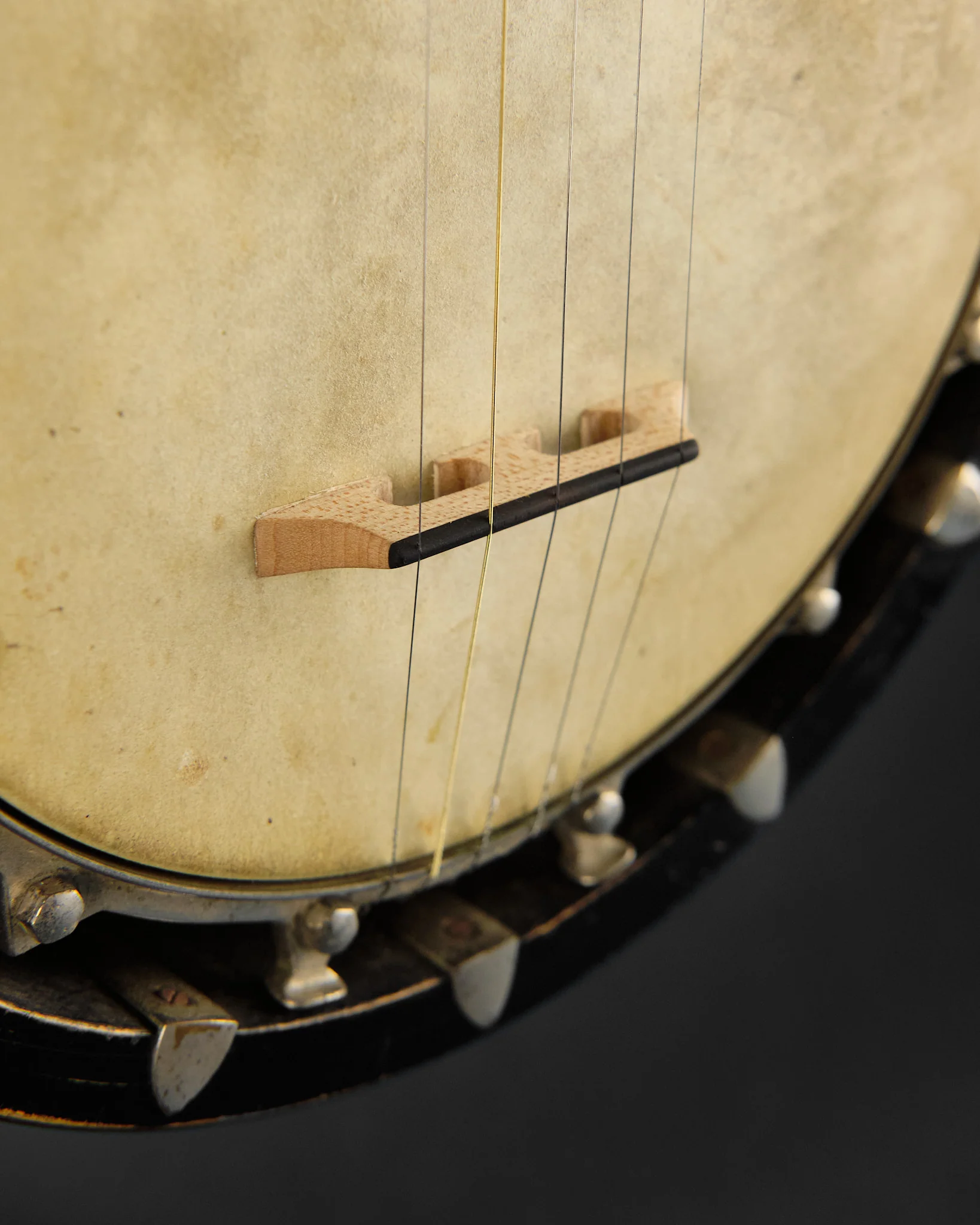 1800s J.E. Dallas Zither 5-String Banjo - Image 13